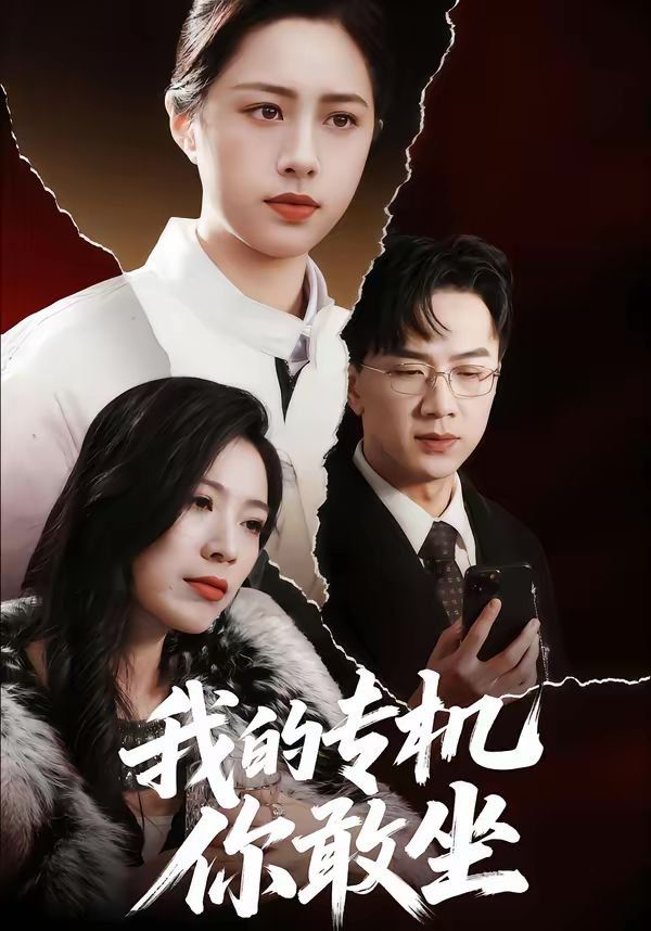 我的專機(jī)你敢坐(全集)