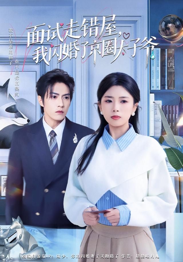 面試走錯(cuò)屋，我閃婚了京圈太子爺(全集)