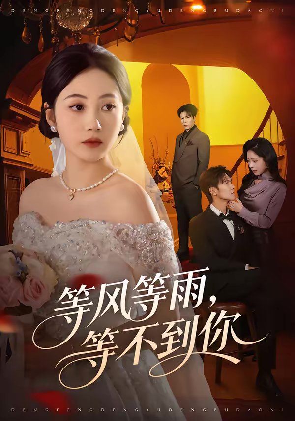 等風(fēng)等雨，等不到你(全集)