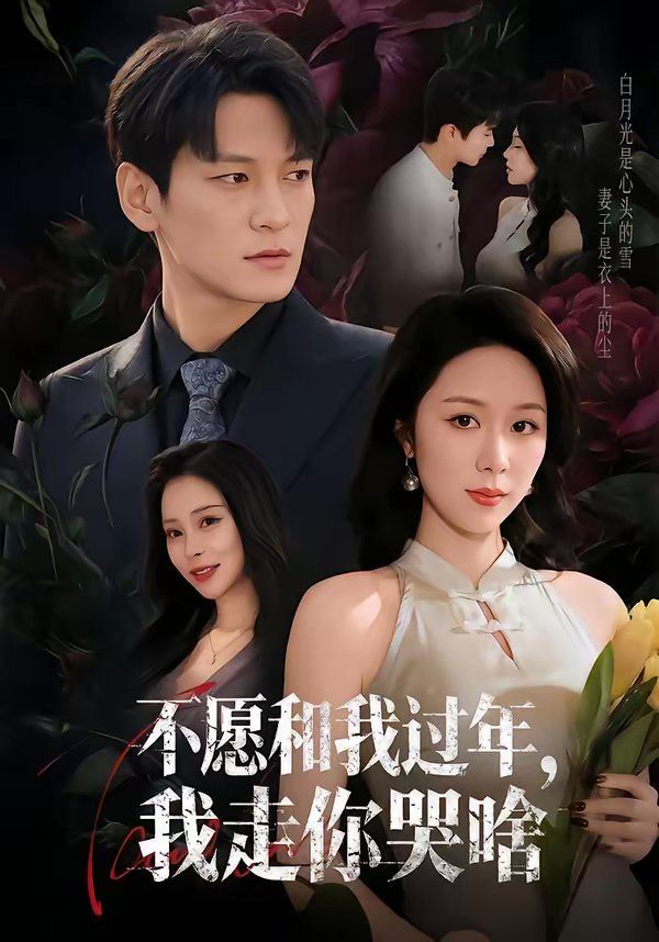 不愿和我過年，我走你哭啥(全集)