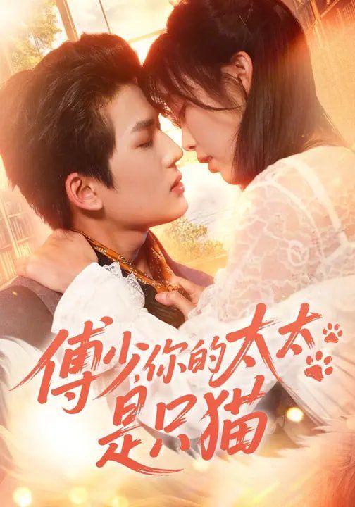 傅少，你的太太是只貓(全集)