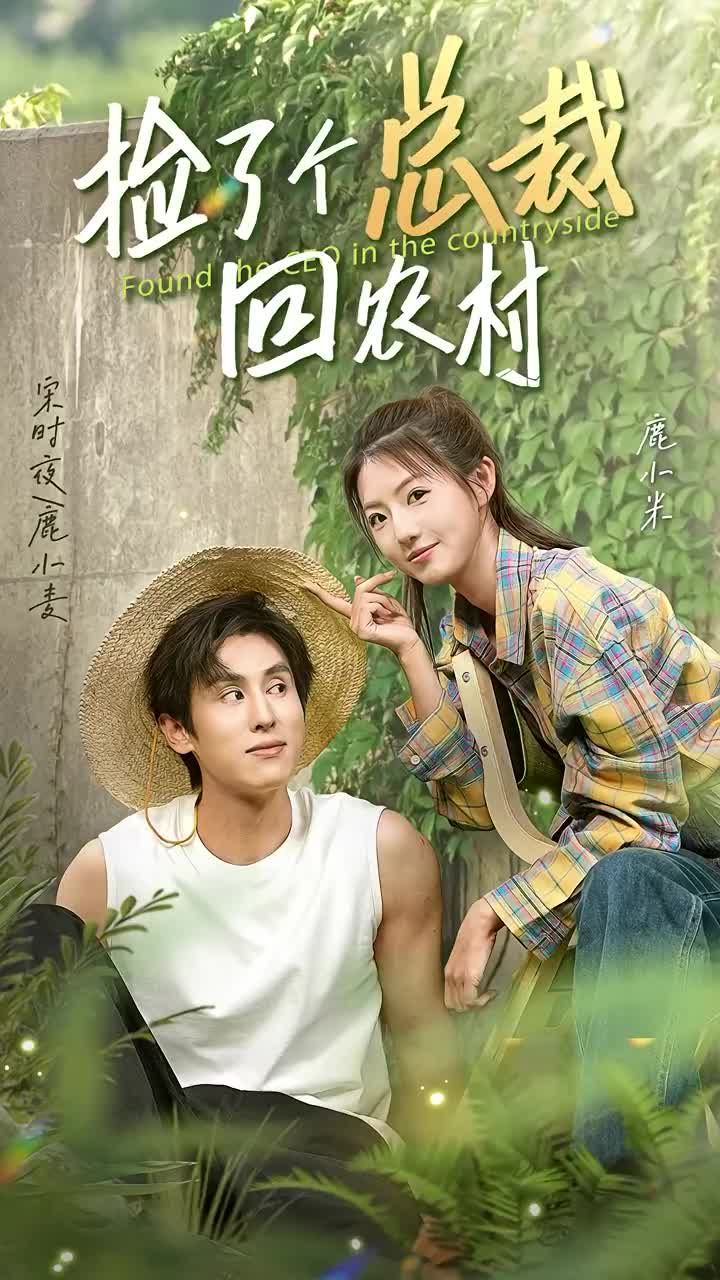 撿了個(gè)總裁回農(nóng)村(全集)
