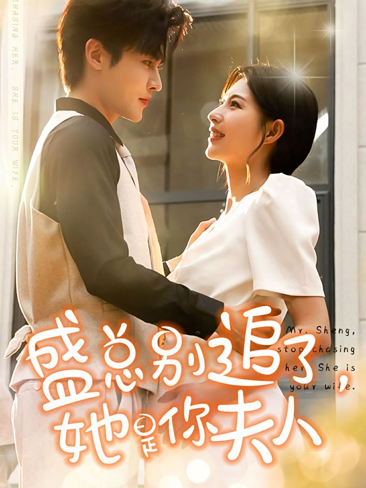 盛總別追了，她是你夫人(全集)