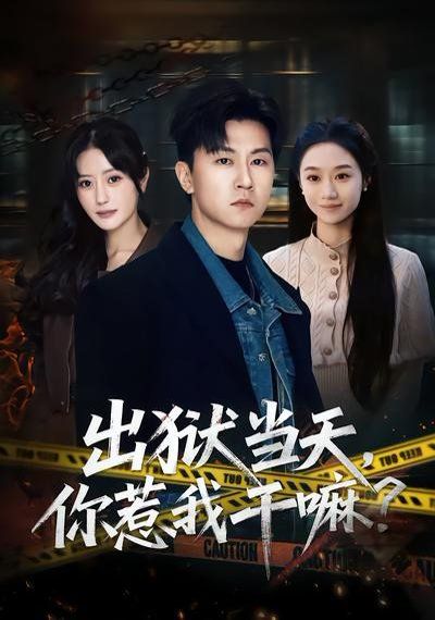 出獄當(dāng)天，你惹我干嘛？(全集)
