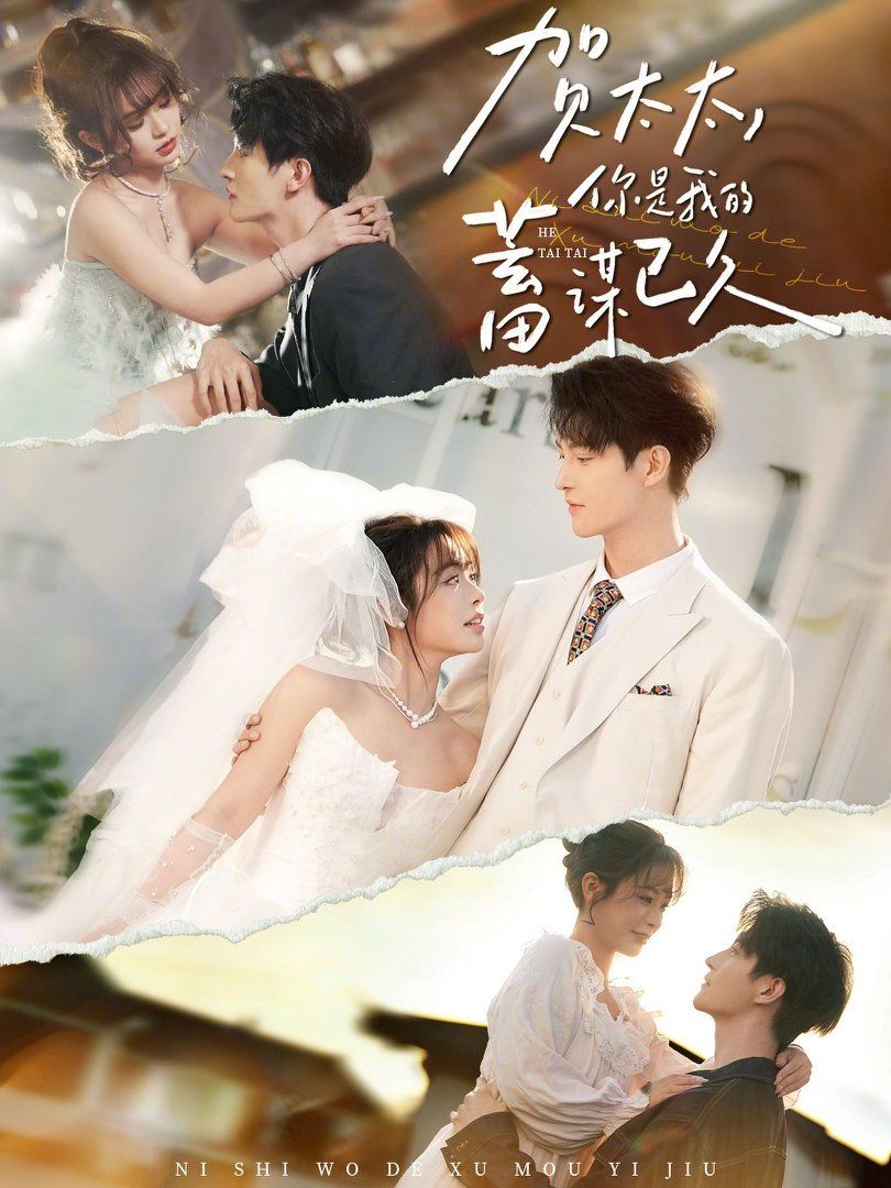 賀太太，你是我的蓄謀已久(全集)