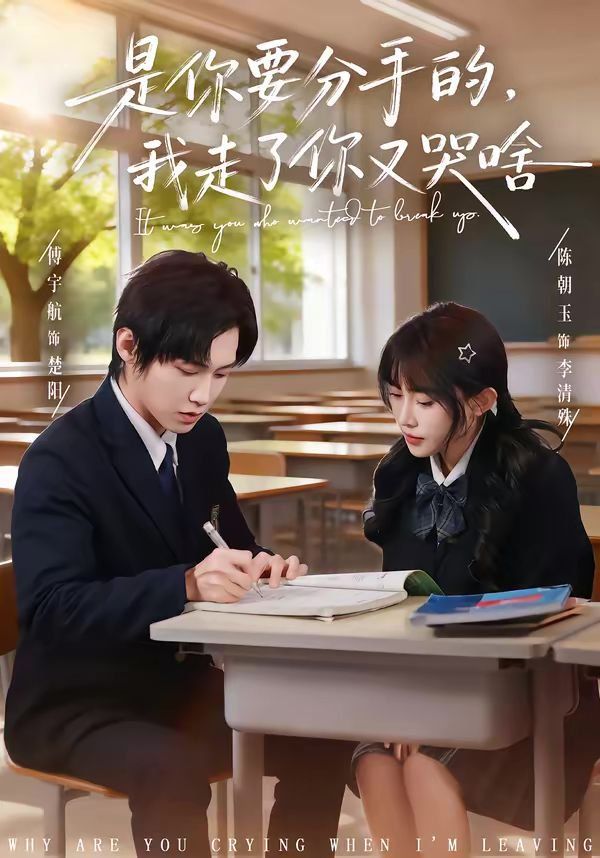 是你要分手的，我走了你又哭啥(全集)
