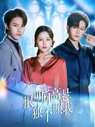 恨明月高懸獨(dú)不照我，錯(cuò)位月光(全集)