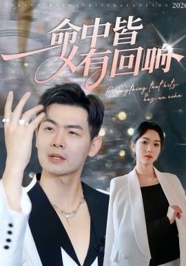 命中皆有回響(全集)