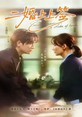 二婚上上簽(全集)