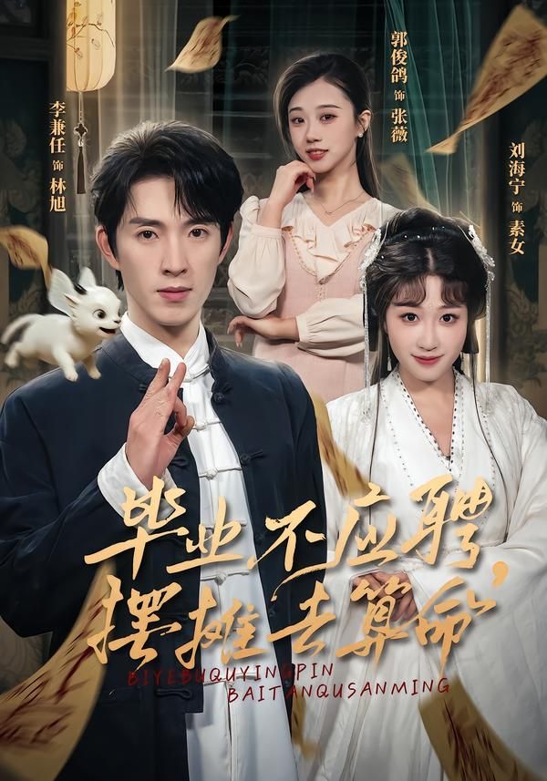 畢業(yè)不應(yīng)聘，擺攤?cè)ニ忝?全集)