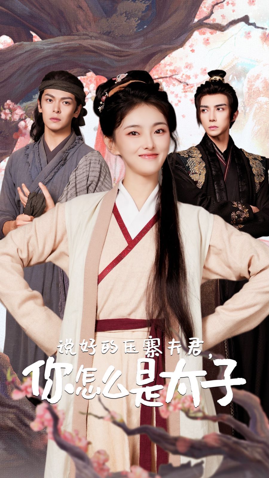 說好的壓寨夫君，你怎么是太子(全集)