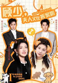 顧少，夫人又在拆家啦(全集)