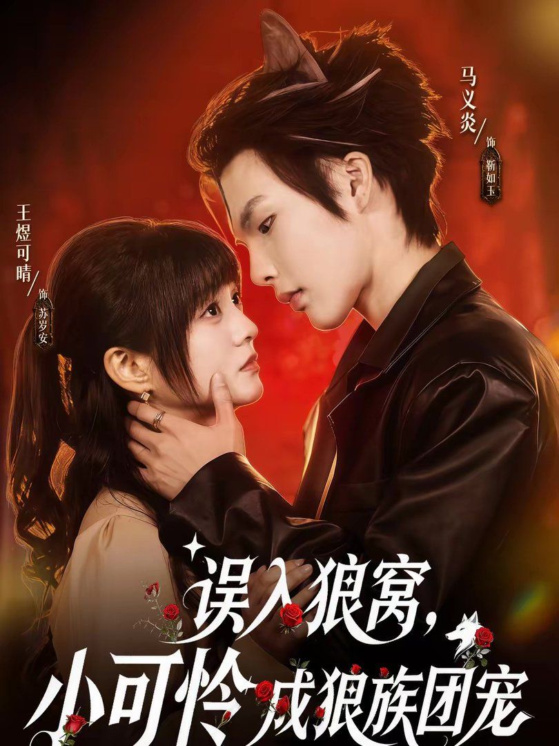 誤入狼窩，小可憐成狼族團寵(全集)