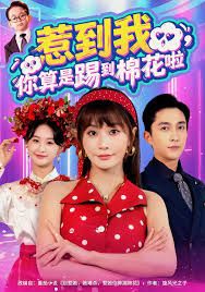 惹到我，你算是踢到棉花啦(全集)