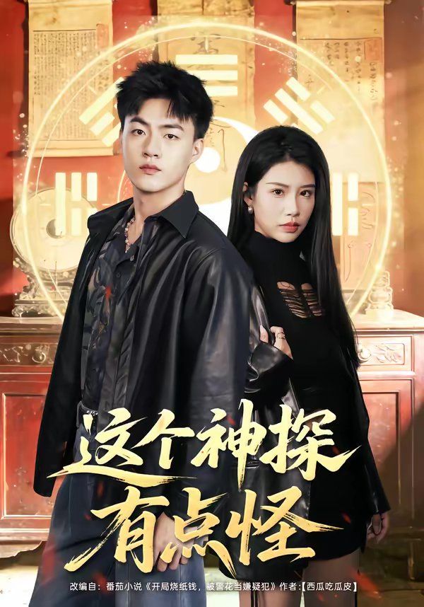 這個神探有點怪(全集)