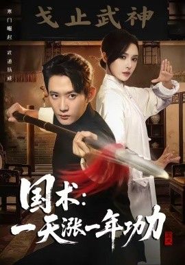 國術(shù)，一天漲一年功力(全集)