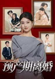 預(yù)產(chǎn)期離婚(全集)