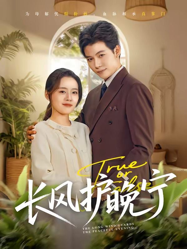 長風(fēng)護(hù)晚寧(全集)