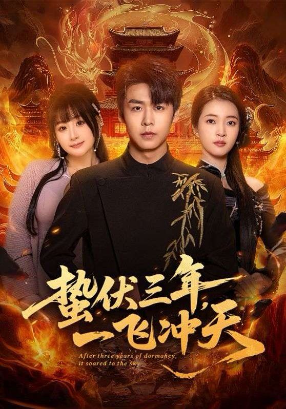 蟄伏三年，一飛沖天(全集)