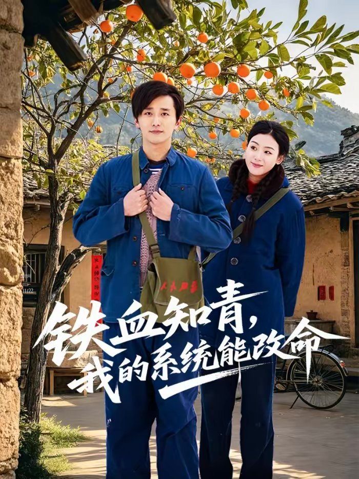 鐵血知青，我的系統(tǒng)能改命(全集)