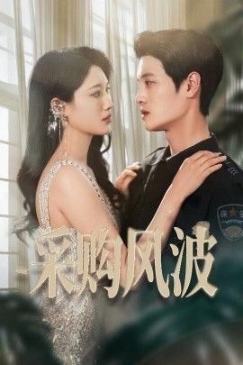 采購風(fēng)波(全集)