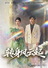 轉(zhuǎn)身風(fēng)云起(全集)
