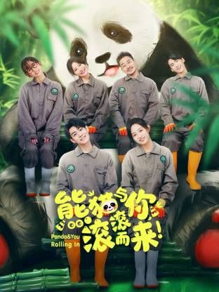 熊貓與你，滾滾而來！(全集)