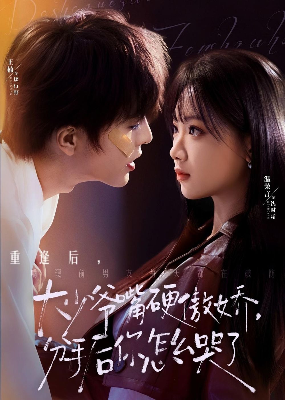 大少爺嘴硬傲嬌，分手后你怎么哭了(全集)