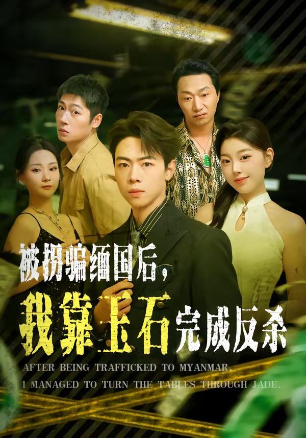 被拐騙緬國后，我靠玉石完成反殺(全集)