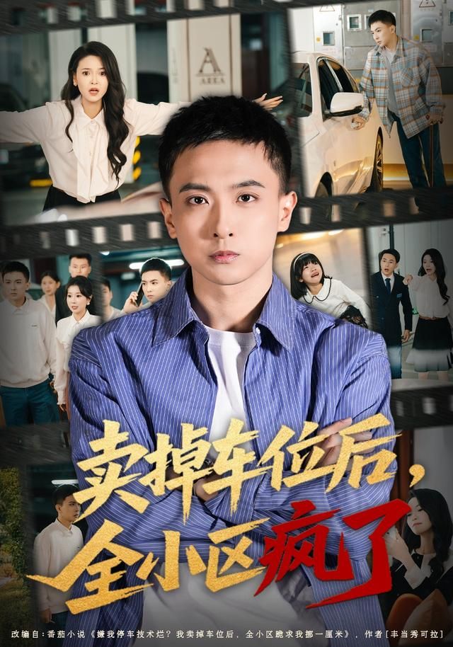 賣掉車位后，全小區(qū)瘋了(全集)