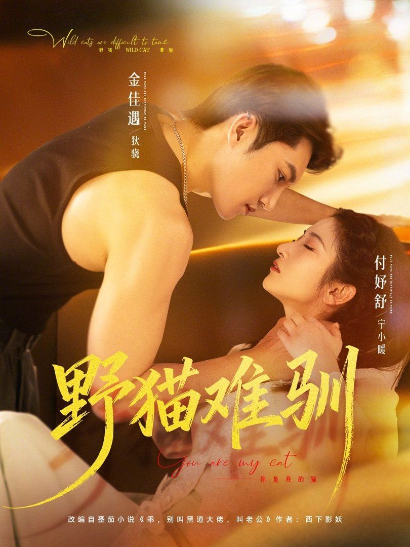 野貓難馴(全集)