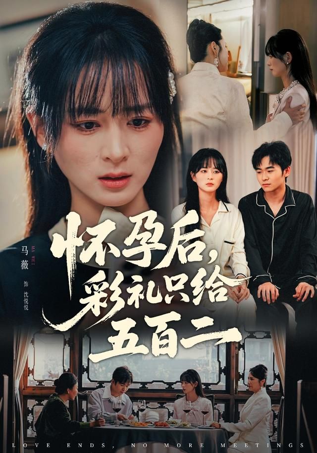 懷孕后，彩禮只給五百二(全集)