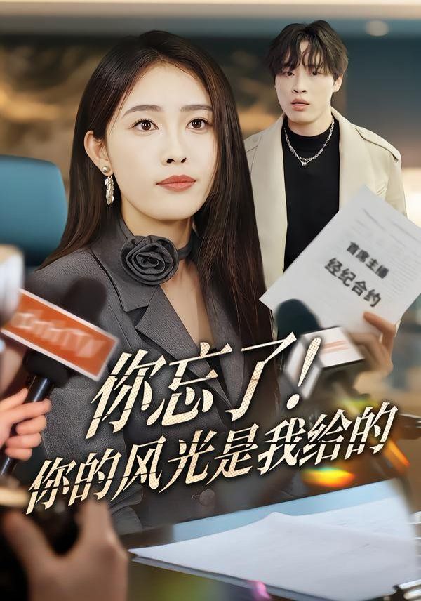 你忘了！你的風(fēng)光是我給的(全集)