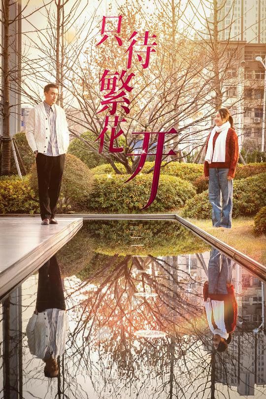 只待繁花開(kāi)(全集)