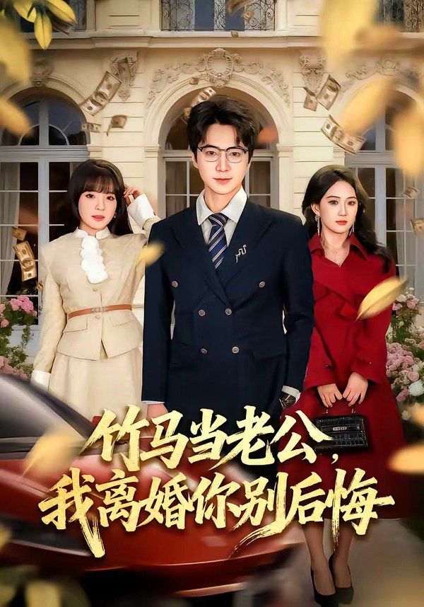 竹馬當(dāng)老公，我離婚你別后悔(全集)