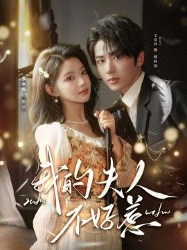 我的夫人不好惹，你好，我的旅長夫人(全集)