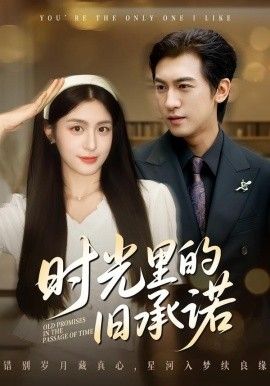 時光里的舊承諾，重逢是場盛大告白(全集)
