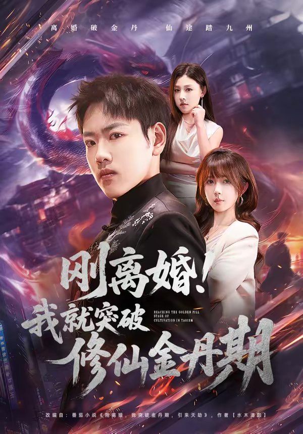 剛離婚！我就突破修仙金丹期(全集)