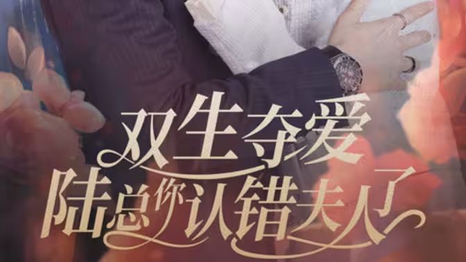 雙生奪愛陸總你認(rèn)錯夫人了(全集)