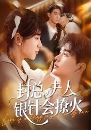 封總，夫人銀針會撩火(全集)