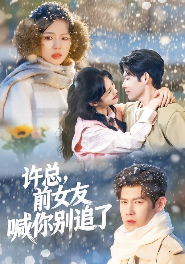 許總，前女友喊你別追了(全集)