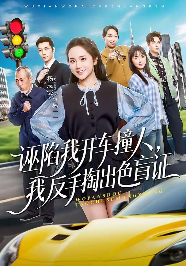 誣陷我開車撞人，我反手掏出色盲(全集)