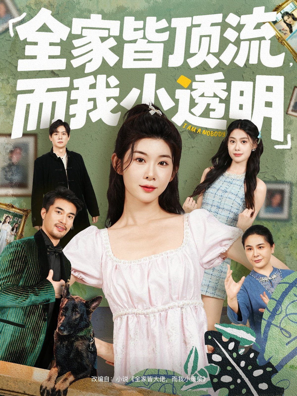 全家皆頂流，而我小透明(全集)