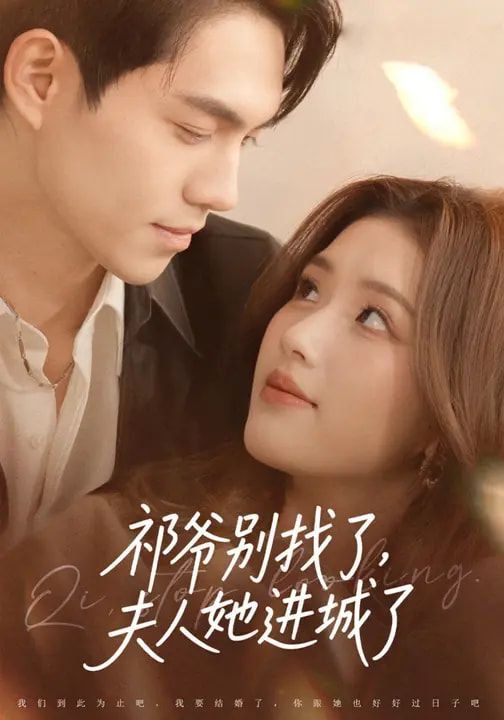 祁爺別找了，夫人她進(jìn)城了(全集)