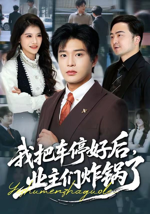 我把車停好后，業(yè)主們炸鍋了(全集)