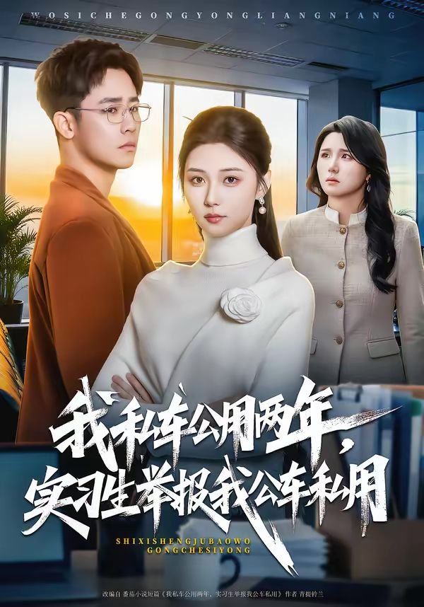 我私車公用兩年，實(shí)習(xí)生舉報(bào)我公車私用(全集)