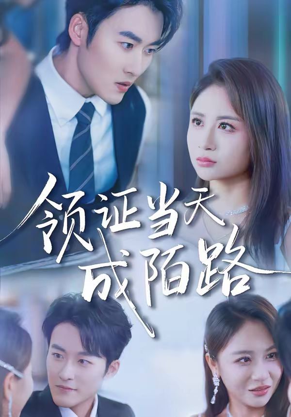 領(lǐng)證當(dāng)天成陌路(全集)