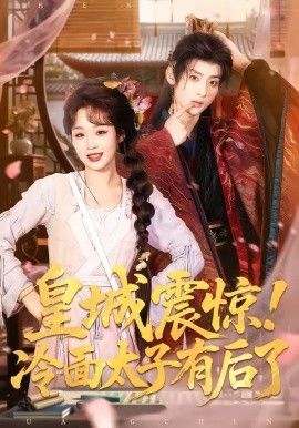 皇城震驚，冷面太子有后了(全集)