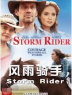 風(fēng)雨騎手(全集)