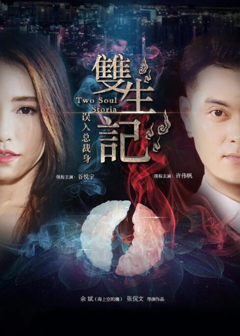 雙生記之誤入總裁身(全集)